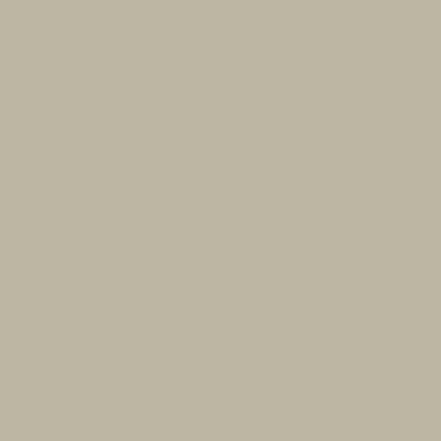 CSP-160: Urban Sophisticate  a paint color by Benjamin Moore avaiable at Clement's Paint in Austin, TX.