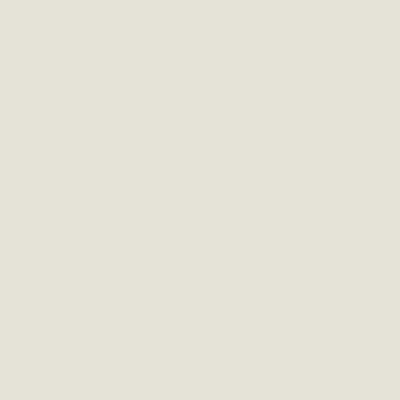 CSP-185: Plaster of Plaster  a paint color by Benjamin Moore avaiable at Clement's Paint in Austin, TX.
