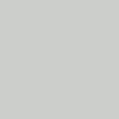 CSP-5: Perspective  a paint color by Benjamin Moore avaiable at Clement's Paint in Austin, TX.