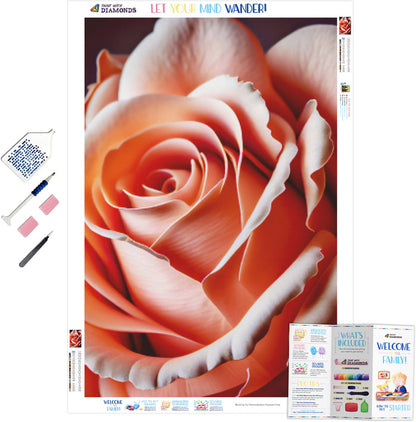 Delicate Intricate Rose