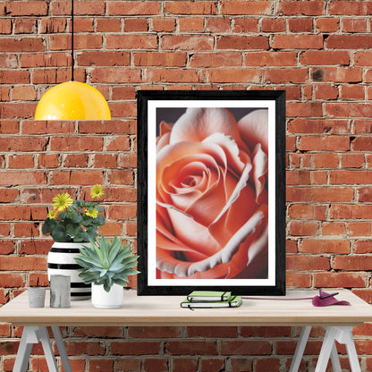 Delicate Intricate Rose