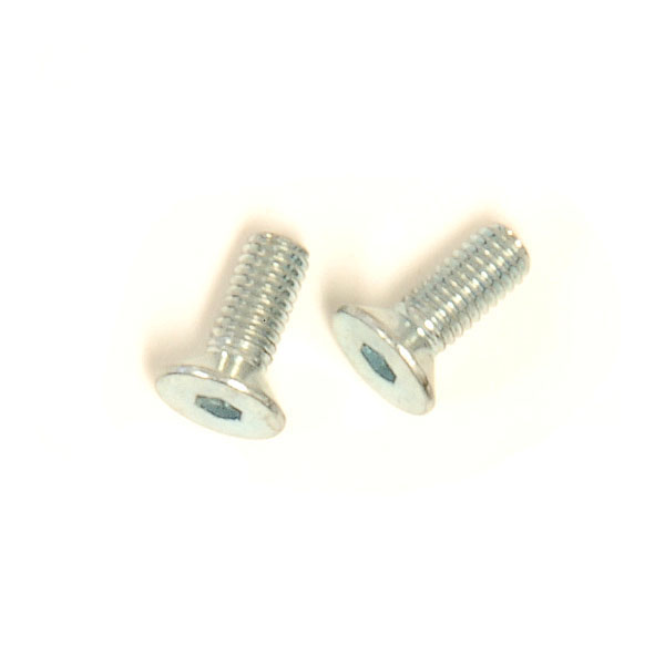 (2) M4x8 Flat Head Screw