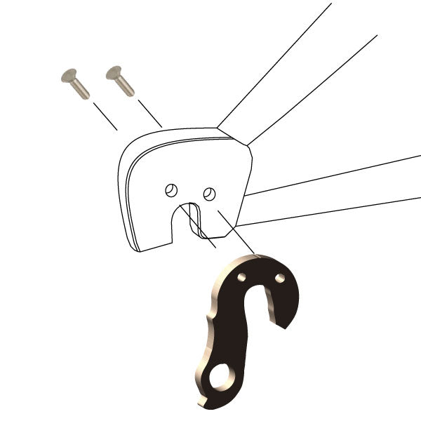 Hanger #217 attaches to the frame's rear dropout from the outside, or derailleur side using two M4x8 screws.