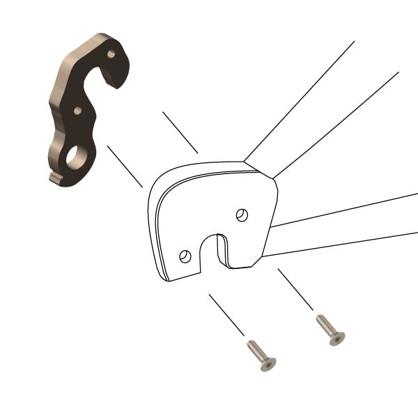 Hanger #251 attaches to the frame's rear dropout from the inside using two M4x8 screws.