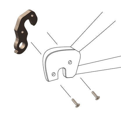 Hanger #251 attaches to the frame's rear dropout from the inside using two M4x8 screws.