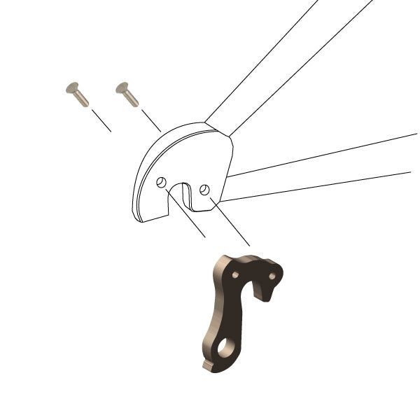 Hanger #260 attaches to the frame's rear dropout from the outside, or derailleur side using two M4x8 screws.