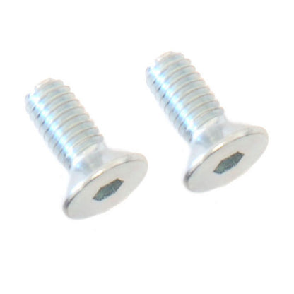 (2) M4x10 Flat Head Screws