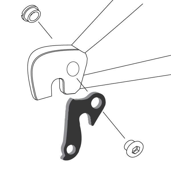 Hanger #55 attaches to the frame's rear dropout from the outside or derailleur side using one M8 chainring bolt.