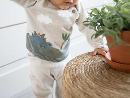 Dino Applique Button Baby Pullover Sweater (Organic)