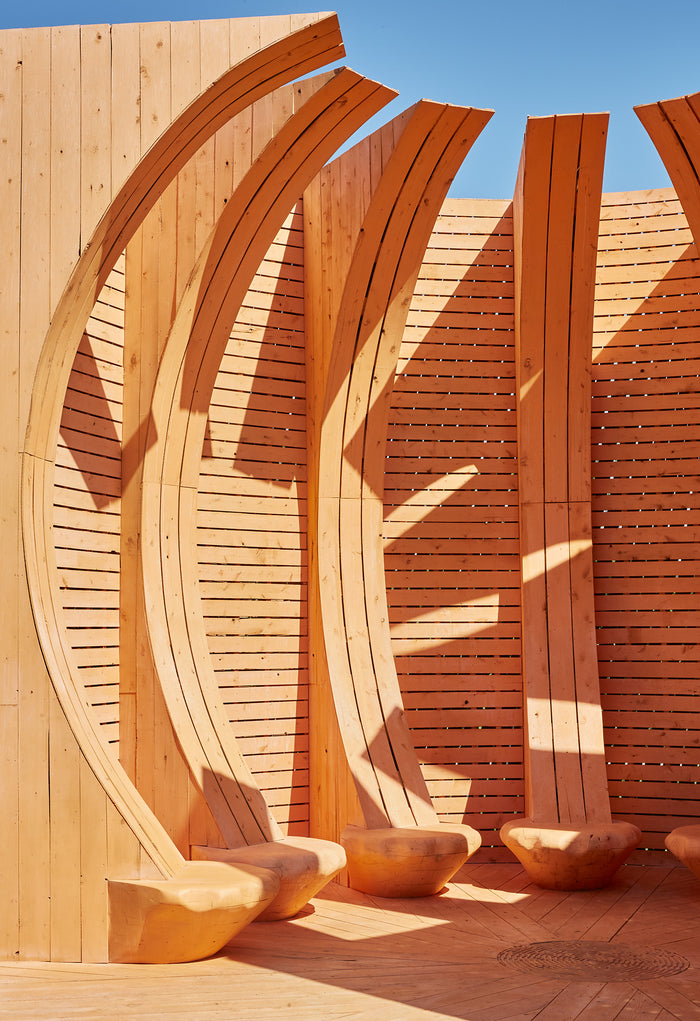 Dynaseal® One Step Wood Protector