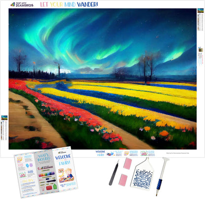 Enchanted Spring Landscape Northern Lights