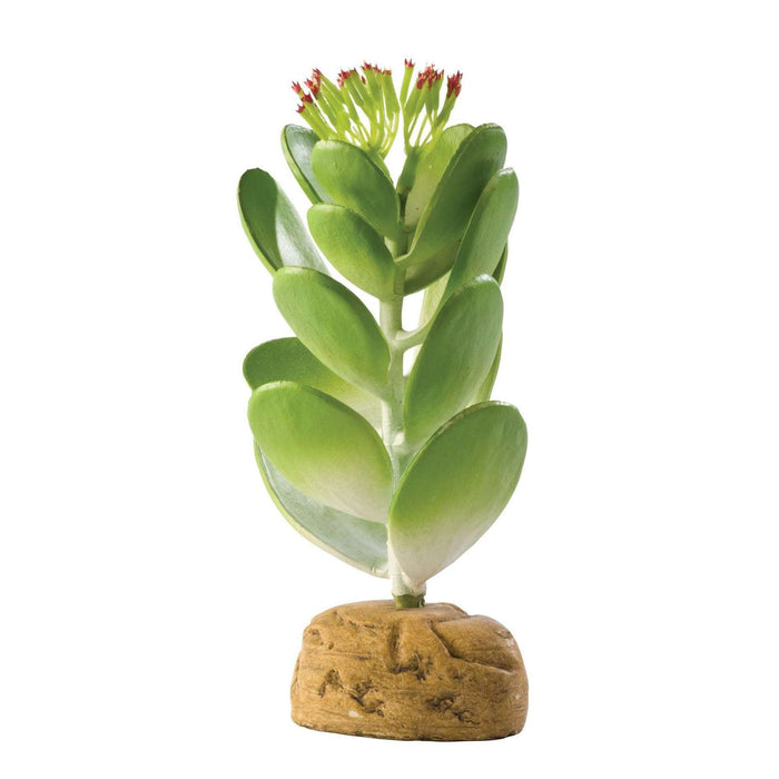 Exo Terra Jade Cactus Terrarium Plant:Jungle Bob's Reptile World