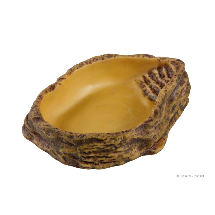 Exo-Terra Water Dish Large:Jungle Bob's Reptile World