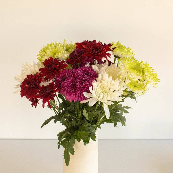 Farm Mix Cushion Bulk Flower Stem - Image
