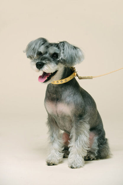 Fine Doggy Leather Collar - Dog.Dog.Cat.
