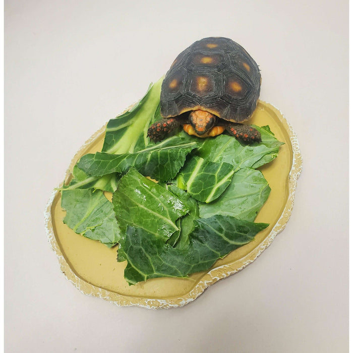 Flat Food Dish Jungle Bob:Jungle Bob's Reptile World