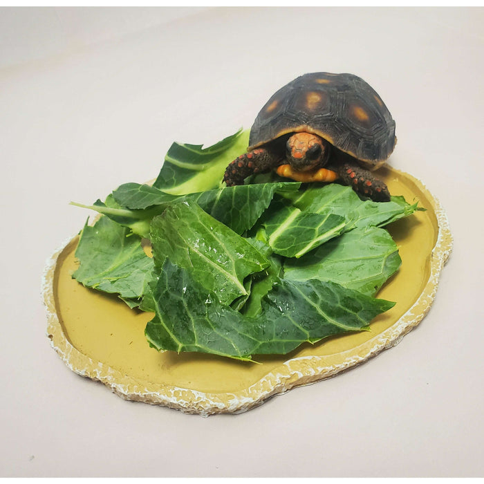 Flat Food Dish Jungle Bob:Jungle Bob's Reptile World