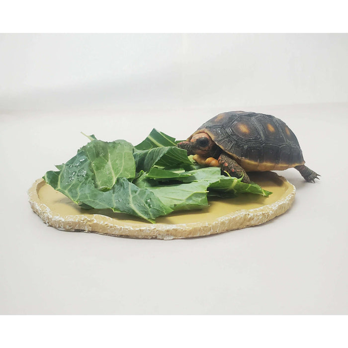 Flat Food Dish Jungle Bob:Jungle Bob's Reptile World