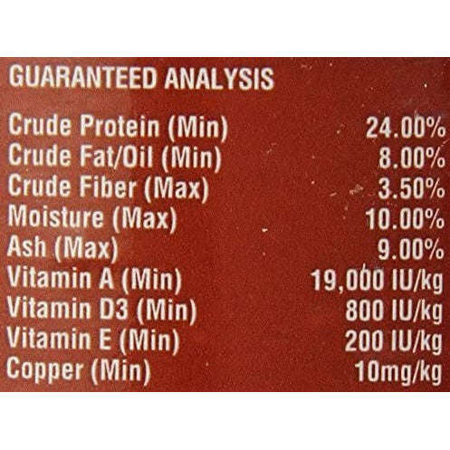 Flukers Adult Bearded Dragon Diet 3.4 oz:Jungle Bob's Reptile World