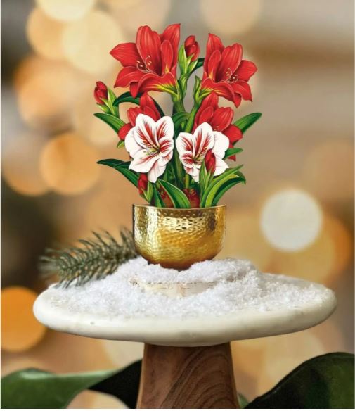 Fresh Cut Mini Scarlet Amaryllis