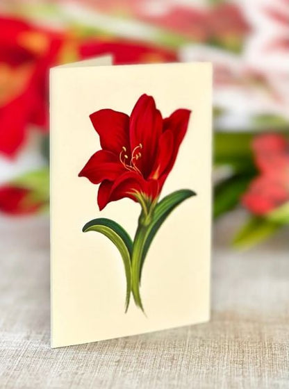 Fresh Cut Scarlet Amaryllis