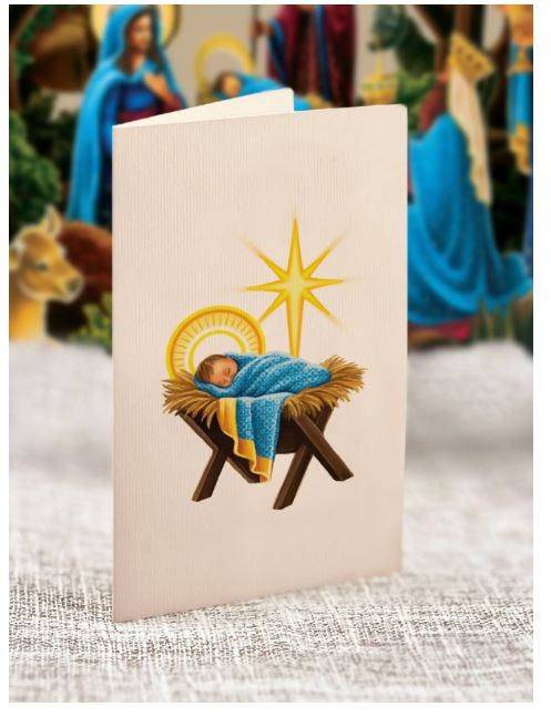 Fresh Cut Starlit Nativity