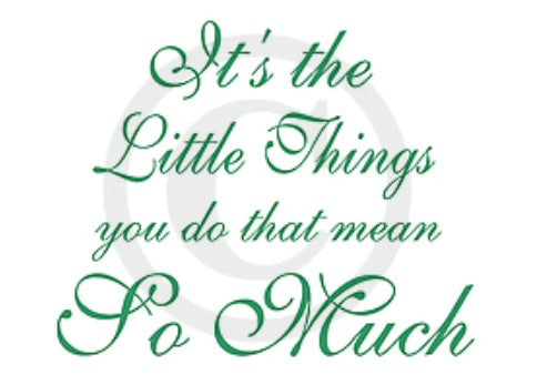Frog's Whiskers Ink - Stamp - It's the Little Things. This sentiment reads "It's the Little Things you do that mean So Much" and would be great to use on cards. Produce crisp and clear images using this unmounted rubber cling stamp from Frog's Whiskers Ink. This stamp can be mounted on an acrylic block, or used with a stamping platform for easy stamping.  Size: 2.00 x 2.25 inches. Available at Embellish Away located in Bowmanville Ontario Canada.
