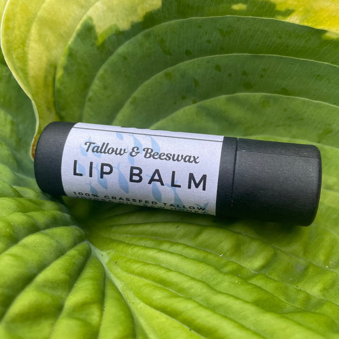 Tallow & Beeswax Lip Balm — Natural Lip Balm | No Petroleum | Clean Ingredients | Doo's Naturals