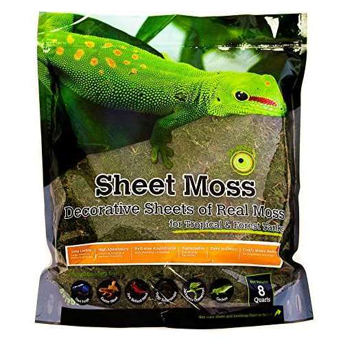 Galapagos Sheet Moss Resealable Bag:Jungle Bob's Reptile World