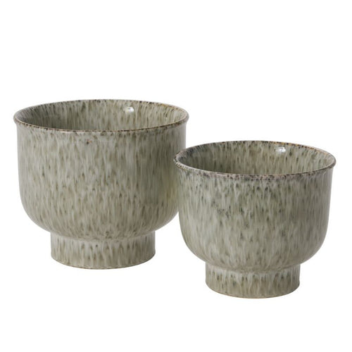 Hayden Pot