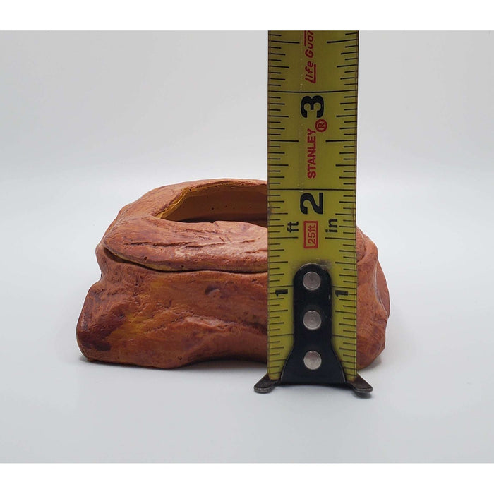 Jungle Bob Food Dish with Removable Cover:Jungle Bob's Reptile World