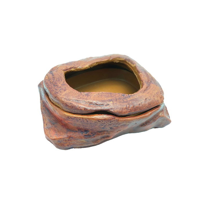 Jungle Bob Food Dish with Removable Cover:Jungle Bob's Reptile World