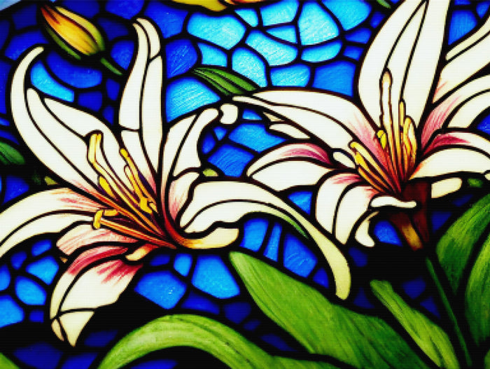 Lovely Lillies