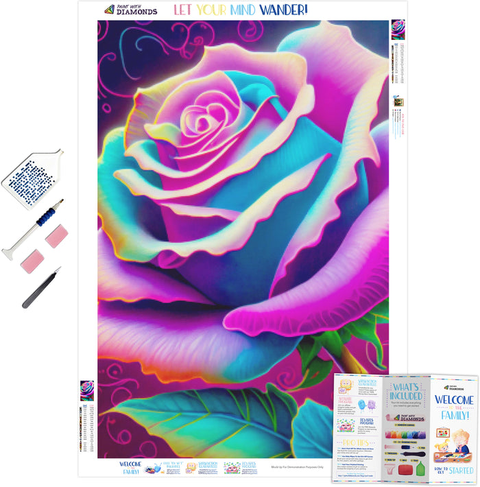 Magenta Blooming Rose