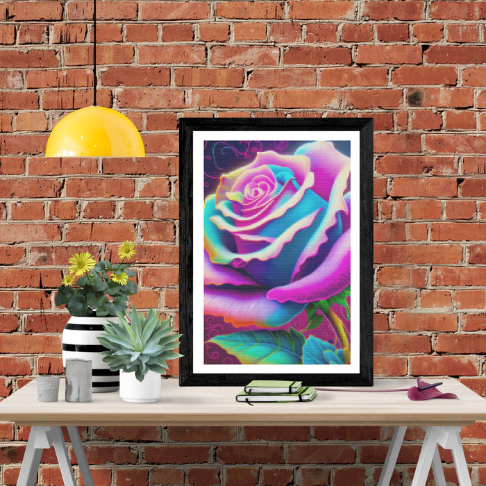 Magenta Blooming Rose