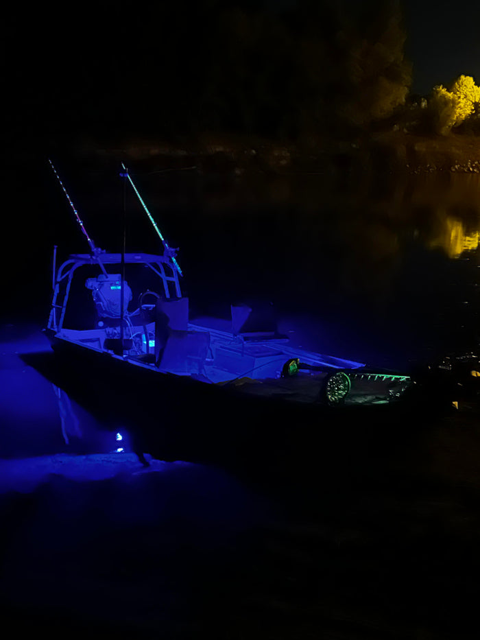Marine Accent Light