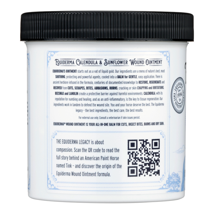 NEW! Ancient Wisdom Bundle (Small)
