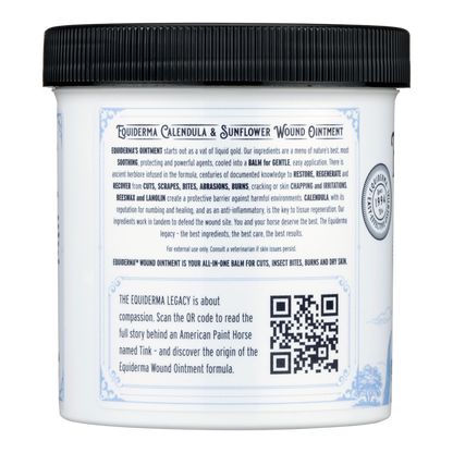 NEW! Ancient Wisdom Bundle (Small)