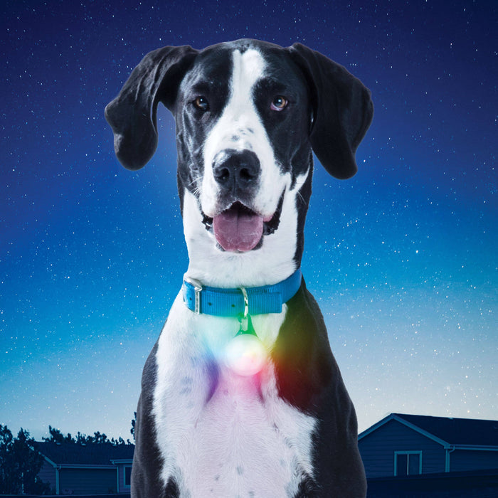 Nite Ize SpotLit XL Rechargeable Collar Light-Disc-O Select - Dog.Dog.Cat.