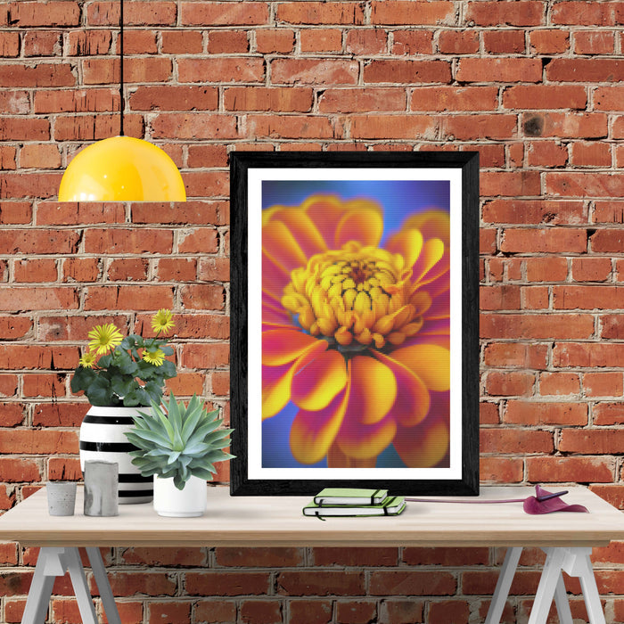 Orange Marigold
