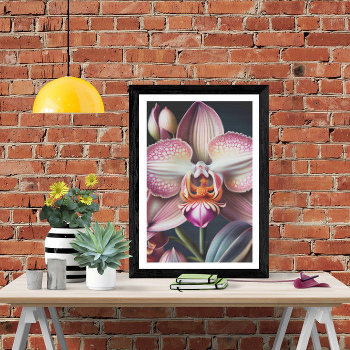 Orchid Close-up