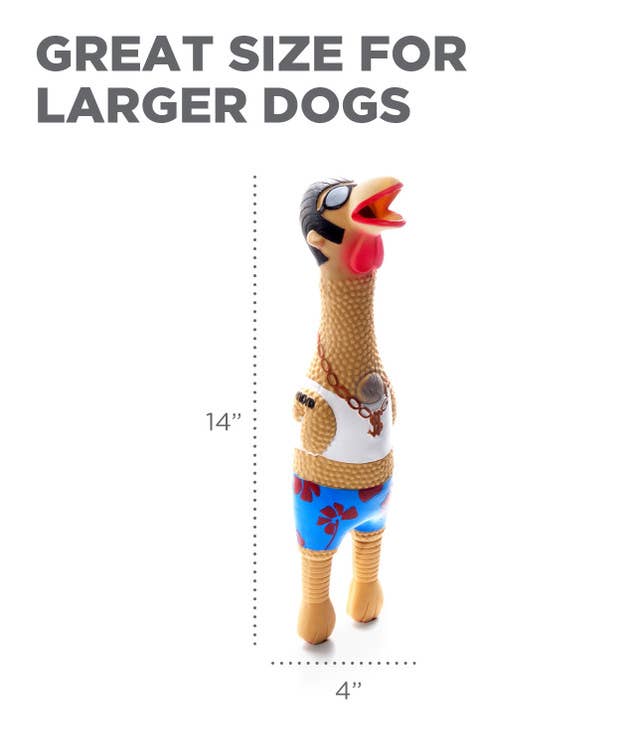 Outward Hound Earl - Large - Dog.Dog.Cat.