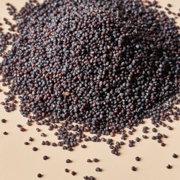 Poppy Seeds - close-up
