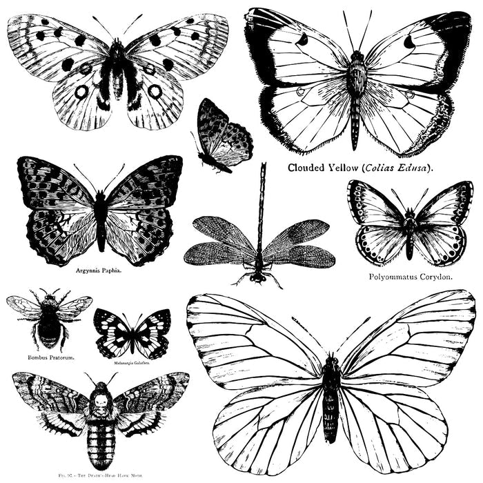 RETIRED Butterflies IOD Décor Stamp