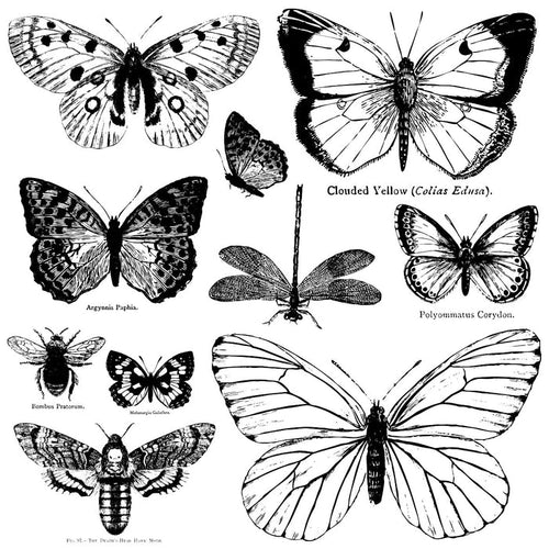 RETIRED Butterflies IOD Décor Stamp