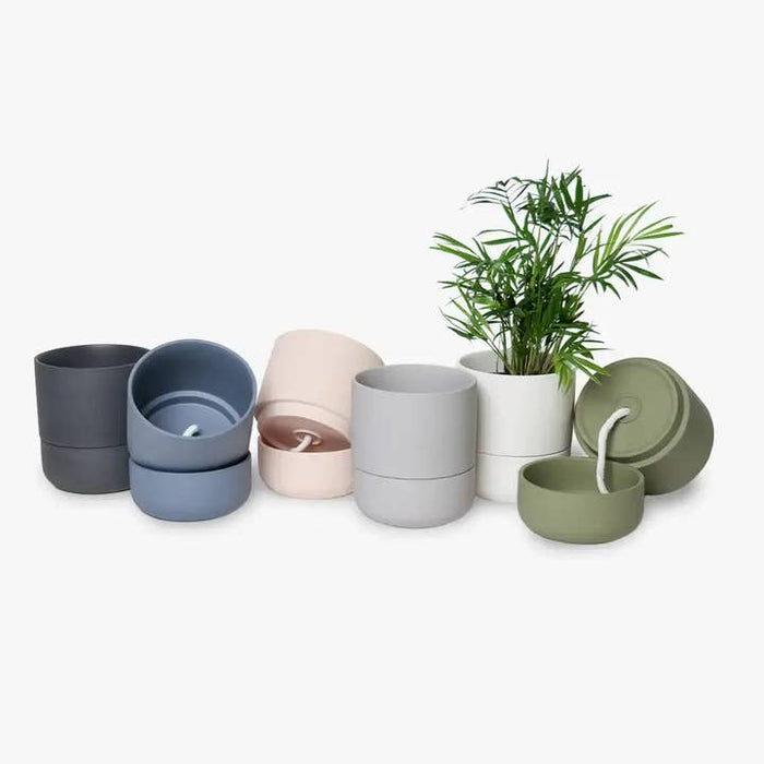 Ryan Self Watering Pot