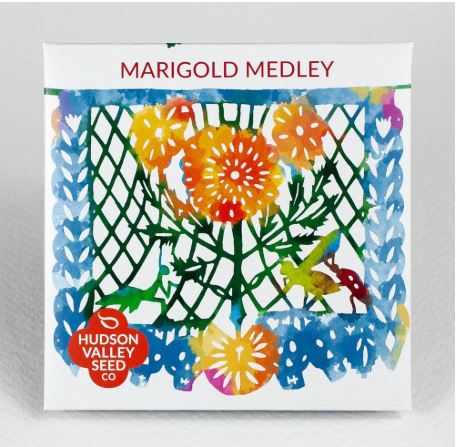 SEED PACKET MARIGOLD MEDLEY
