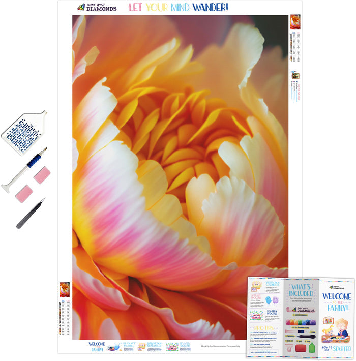Soft Peony