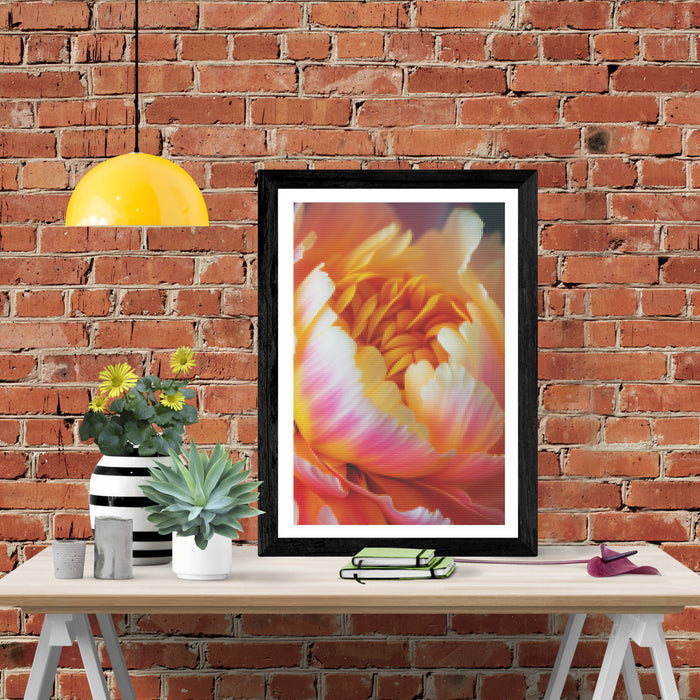 Soft Peony
