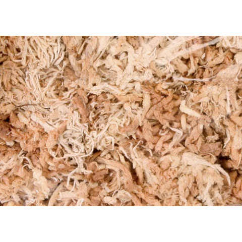Sphagnum Moss Mini Bale by Jungle Bob 1lb:Jungle Bob's Reptile World